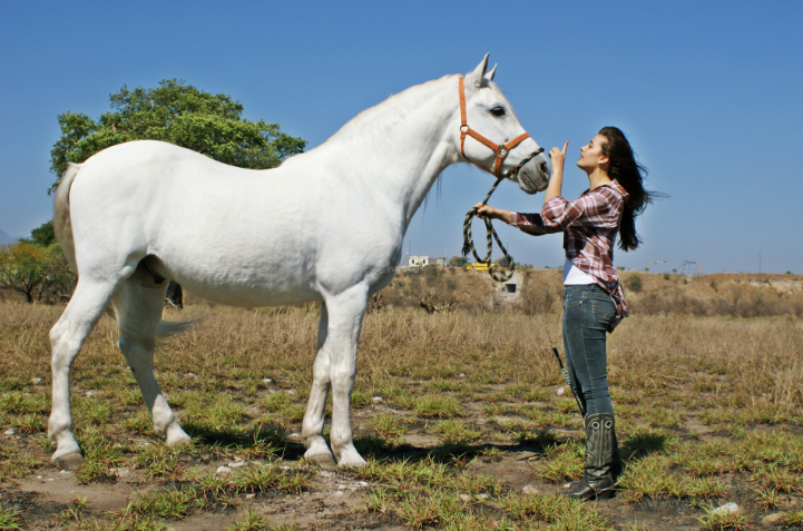 Vista panorámica del bosque y sierras de Tapalpa